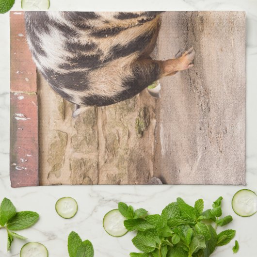 Fettes Schwein Geschirrtuch (Gefaltet)