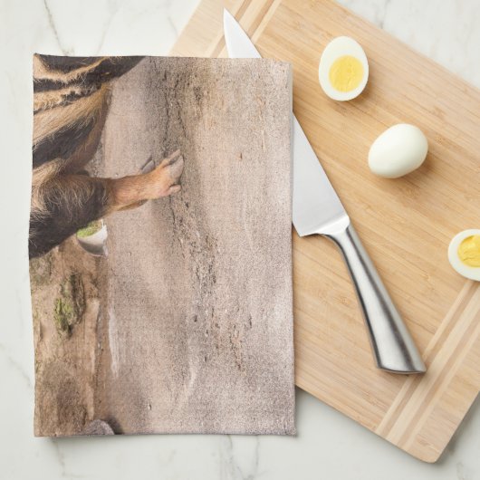 Fettes Schwein Geschirrtuch (Viertel Falte)