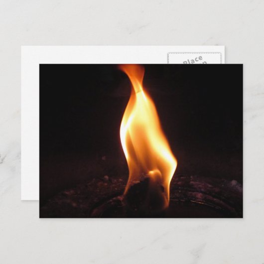 Fettflut Postkarte (Vorne/Hinten)