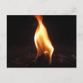 Fettflut Postkarte (Vorderseite)