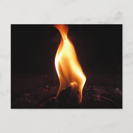 Fettflut Postkarte (Vorderseite)