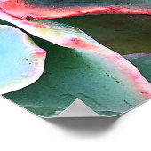 Fettgrüner Kaktus Sukkulentes Foto Schönheitsskrip Poster (Ecke)