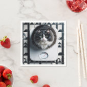 Fettkatze auf einer Badezimmerskala Serviette (Beispiel)