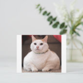 Fettkatze Postkarte (Stehend Vorderseite)