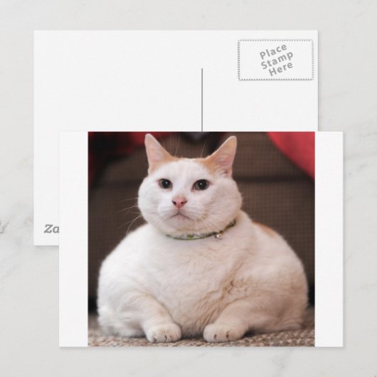 Fettkatze Postkarte (Vorne/Hinten)