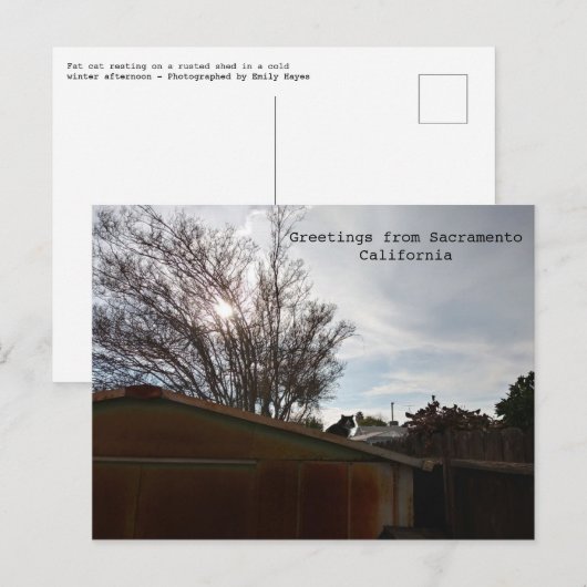 Fettkatze Postkarte (Vorne/Hinten)