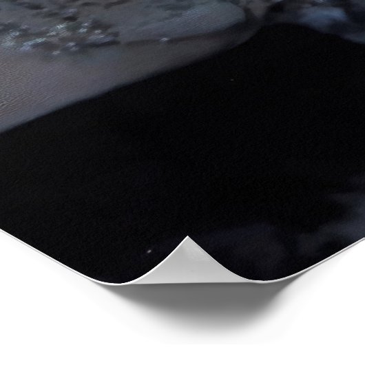 Fettlionfisch Poster (Ecke)