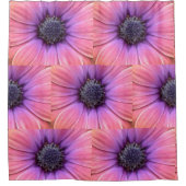 Fettrosa und Orange Daisies Duschvorhang (Vorderseite)