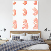Fetus Leinwanddruck (Insitu (Schlafzimmer))