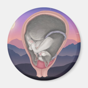 Fetus Magnet