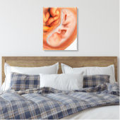 Fetusentwicklung nach 36 Wochen Leinwanddruck (Insitu (Schlafzimmer))