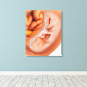 Fetusentwicklung nach 36 Wochen Leinwanddruck (Insitu (Holzboden))