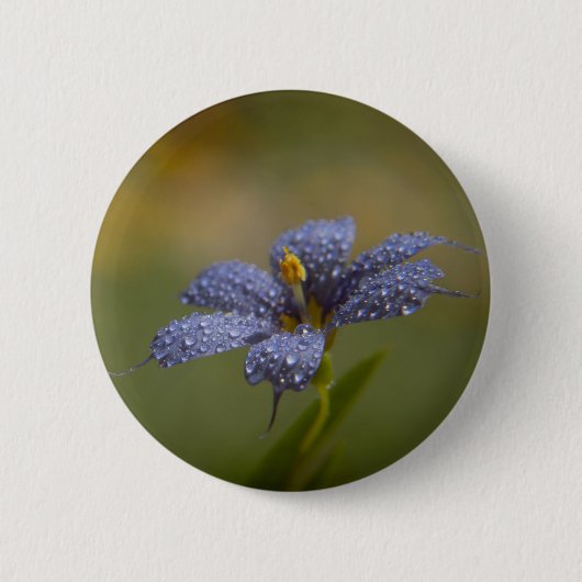Feuchte Blaue Augen Button (Vorderseite)