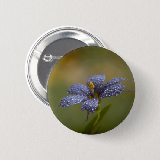 Feuchte Blaue Augen Button (Vorne & Hinten)