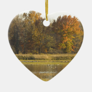 FEUCHTGEBIET MIT HERBSTBÄUMEN IM HINTERGRUND UND E KERAMIKORNAMENT