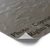 Feuchtgebiet-Poster Poster (Ecke)