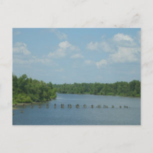 Feuchtgebiet-Poster Postkarte
