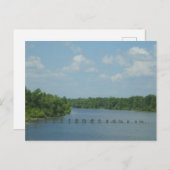 Feuchtgebiet-Poster Postkarte (Vorne/Hinten)