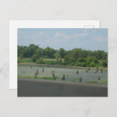 Feuchtgebiet-Poster Postkarte (Vorne/Hinten)