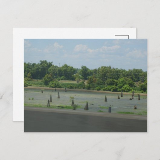 Feuchtgebiet-Poster Postkarte (Vorne/Hinten)