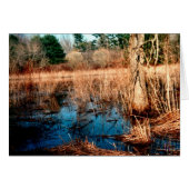 Feuchtgebiete (Vorderseite (Horizontal))