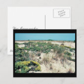 Feuchtgebiete. Delaware Bay Cape Henlopen Postkarte (Vorne/Hinten)