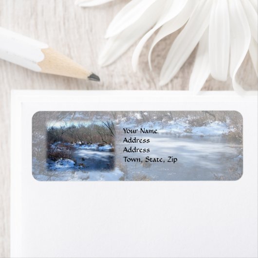 Feuchtgebiete im Winter (Insitu)