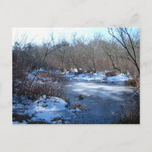 Feuchtgebiete im Winter Postkarte