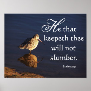 Feuchtgebiets-Schnepfen-Vogel-Gott behält Sie Poster