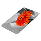 Feuer auf Blättern Magnet (Linke Seite)