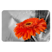 Feuer auf Blättern Magnet (Horizontal)