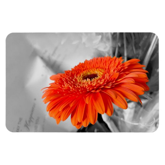 Feuer auf Blättern Magnet (Horizontal)