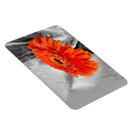 Feuer auf Blättern Magnet (Rechte Seite)