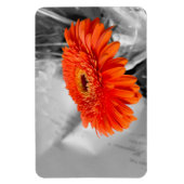 Feuer auf Blättern Magnet (Vertikal)