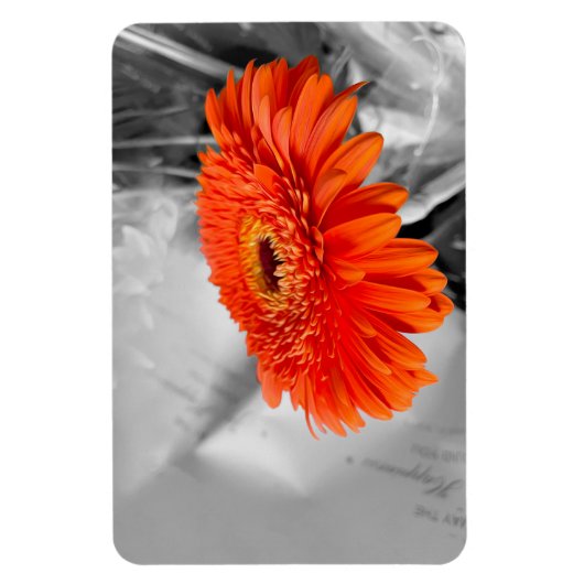 Feuer auf Blättern Magnet (Vertikal)