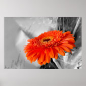 Feuer auf Blättern Poster (Vorne)