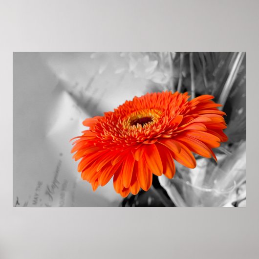 Feuer auf Blättern Poster (Vorne)