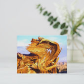 Feuer auf dem Mtn Postkarte (Stehend Vorderseite)