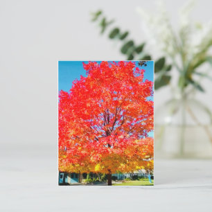 Feuer des Lebens, hell, farbenfroh, Baum im Herbst Mitteilungskarte