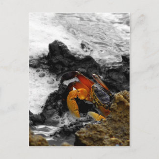 Feuer im Meer Postkarte