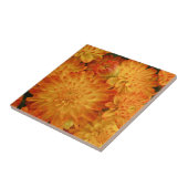 Feuer Orange Chrysanthemas Fliese (Seite)