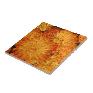 Feuer Orange Chrysanthemas Fliese