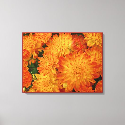 Feuer Orange Chrysanthemas Leinwanddruck (Vorderseite)