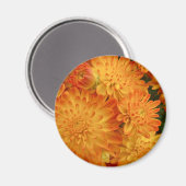 Feuer Orange Chrysanthemas Magnet (Vorderseite/Rückseite)