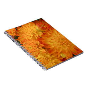 Feuer Orange Chrysanthemas Notizblock