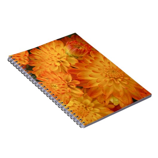 Feuer Orange Chrysanthemas Notizblock (Rechte Seite)