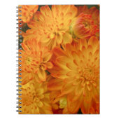 Feuer Orange Chrysanthemas Notizblock (Vorderseite)