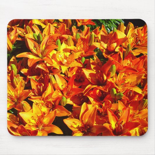 Feuer Orange Lily Blume Mousepad (Vorne)