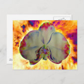 Feuer Orchid, abstrakte, lebendige Aquarellblüte Postkarte (Vorne/Hinten)