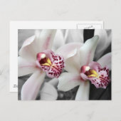 Feuer-Orchidee Postkarte (Vorne/Hinten)